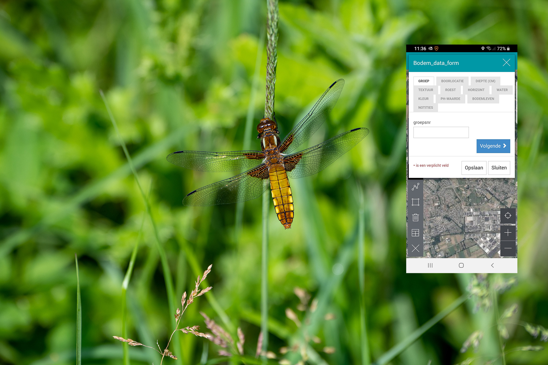 WebGIS App voor bodemmonsters en biodiversiteit