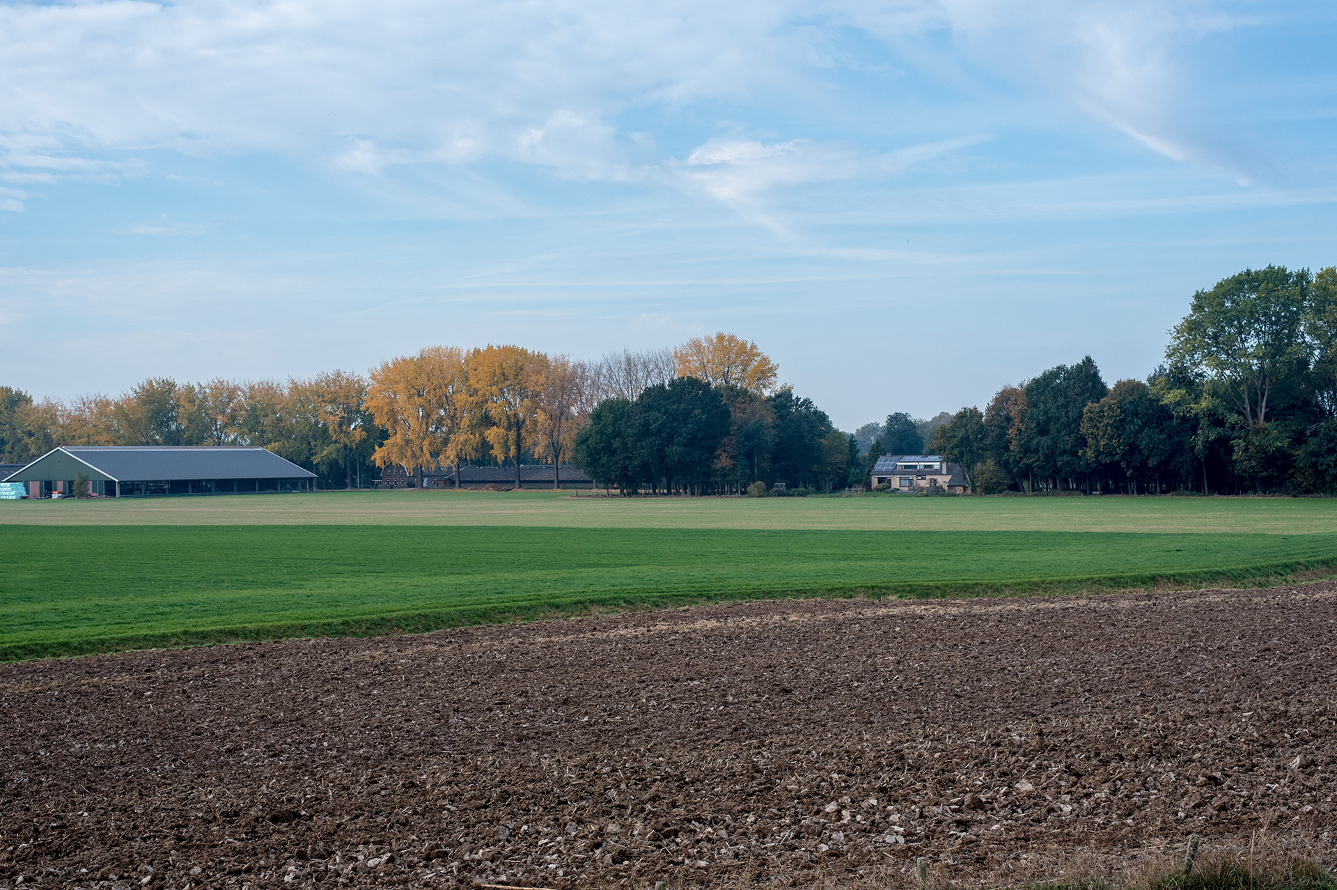 Natuurbeheerplannen en subsidie aanvragen